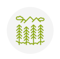 Снимок экрана 2025-12-11 в 12.43.05