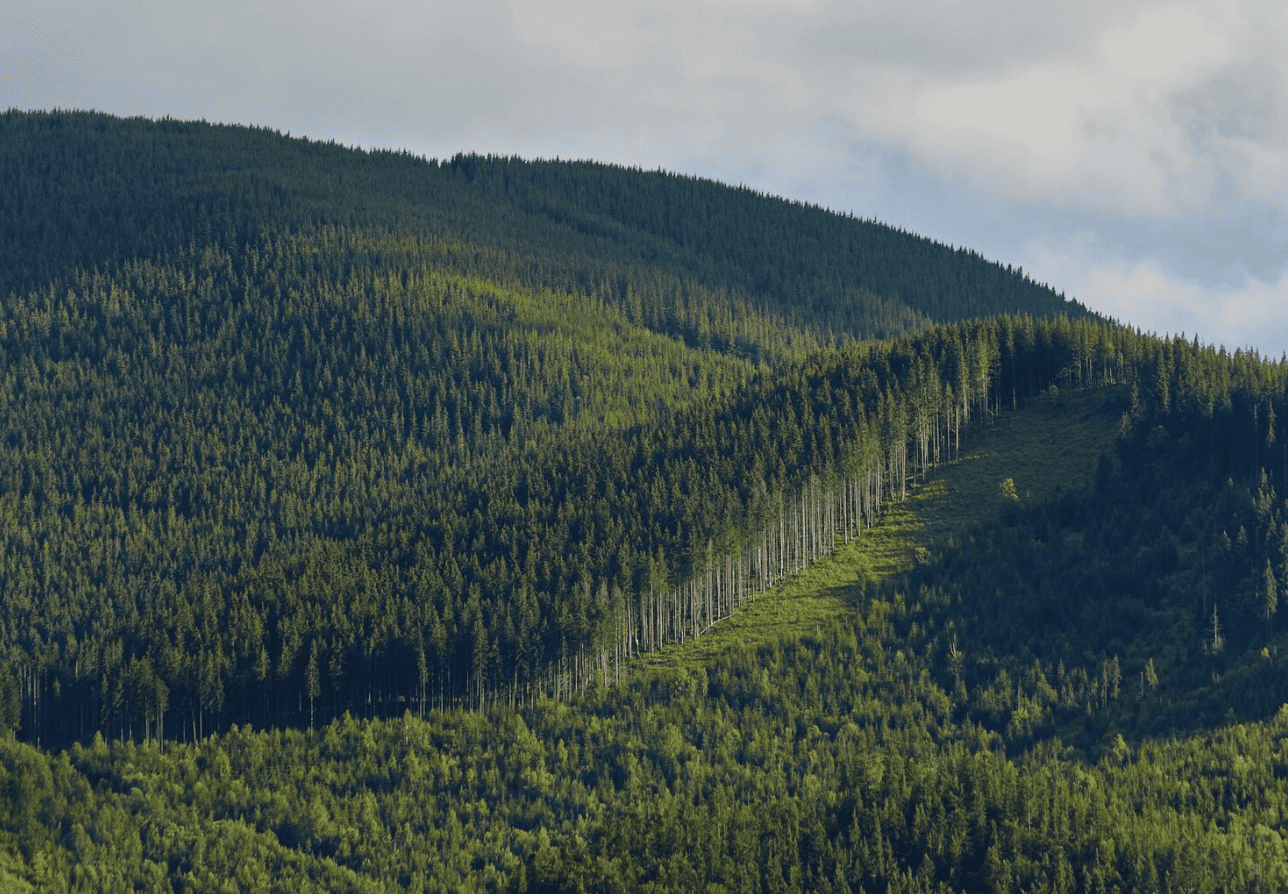 Снимок экрана 2025-12-12 в 12.46.25-1