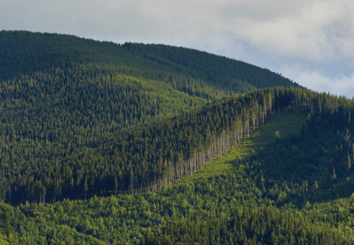 Снимок экрана 2025-12-12 в 12.46.25